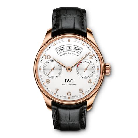 iwc annual calendar price